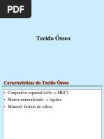 Tecido Ósseo