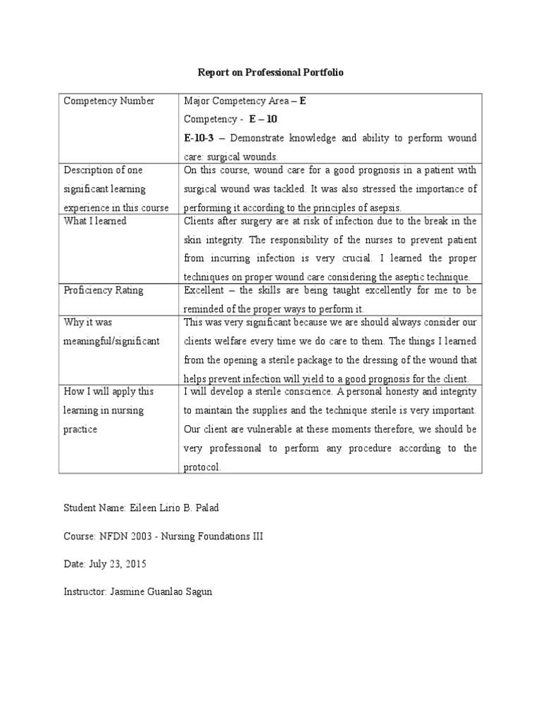 Report On Professional Portfolio-2 | PDF