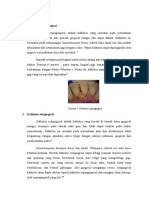 1. Pro Perio - Gingivitis