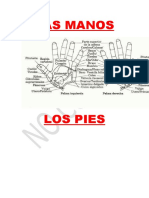 Mapas Manos y Pies