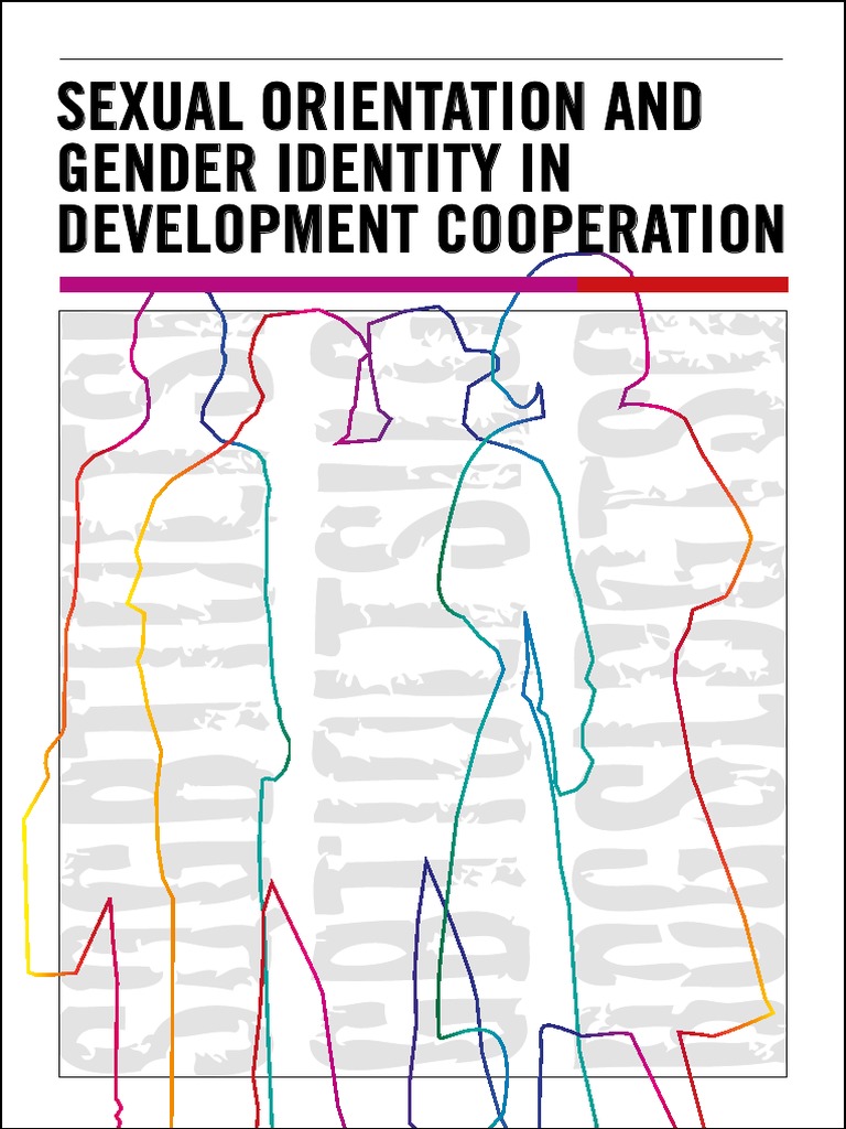 LGBT Rights in Development Cooperation | PDF | Lgbt | LGBTQIA+ Studies