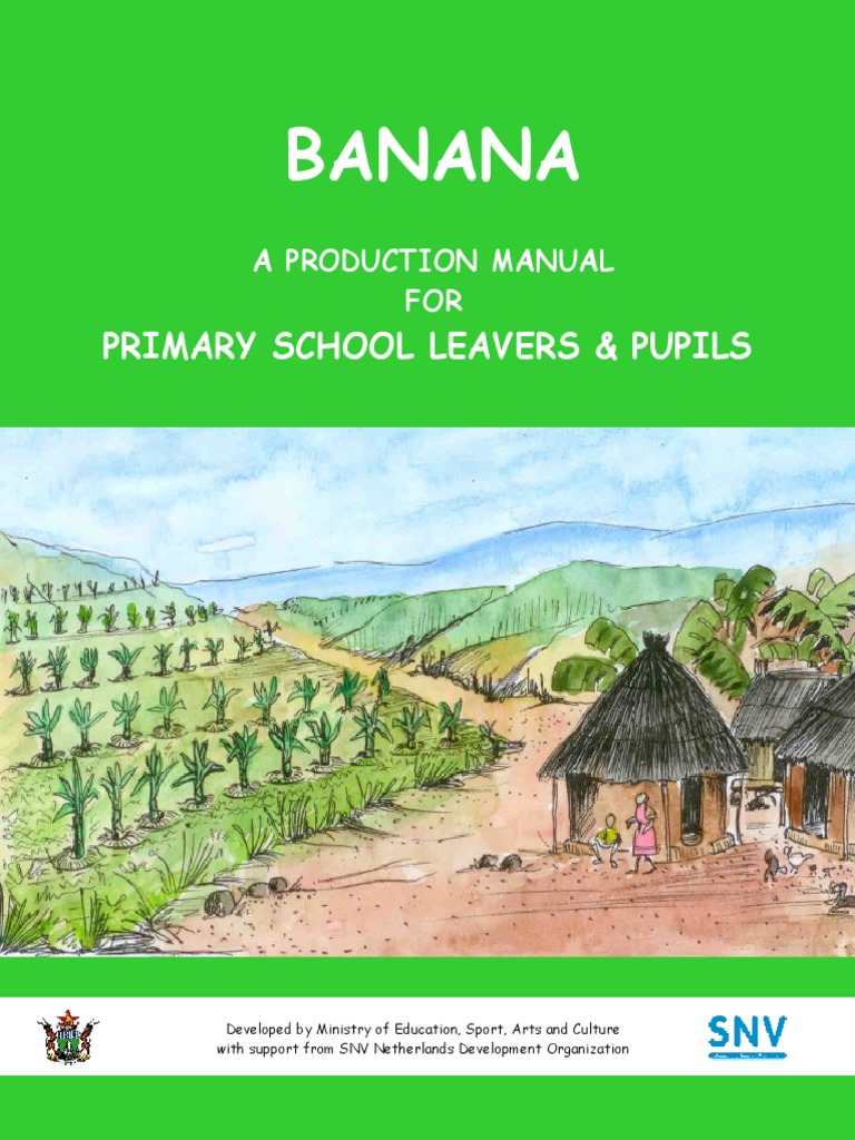 Banana Production Manual Primary School PDF Banana Mulch
