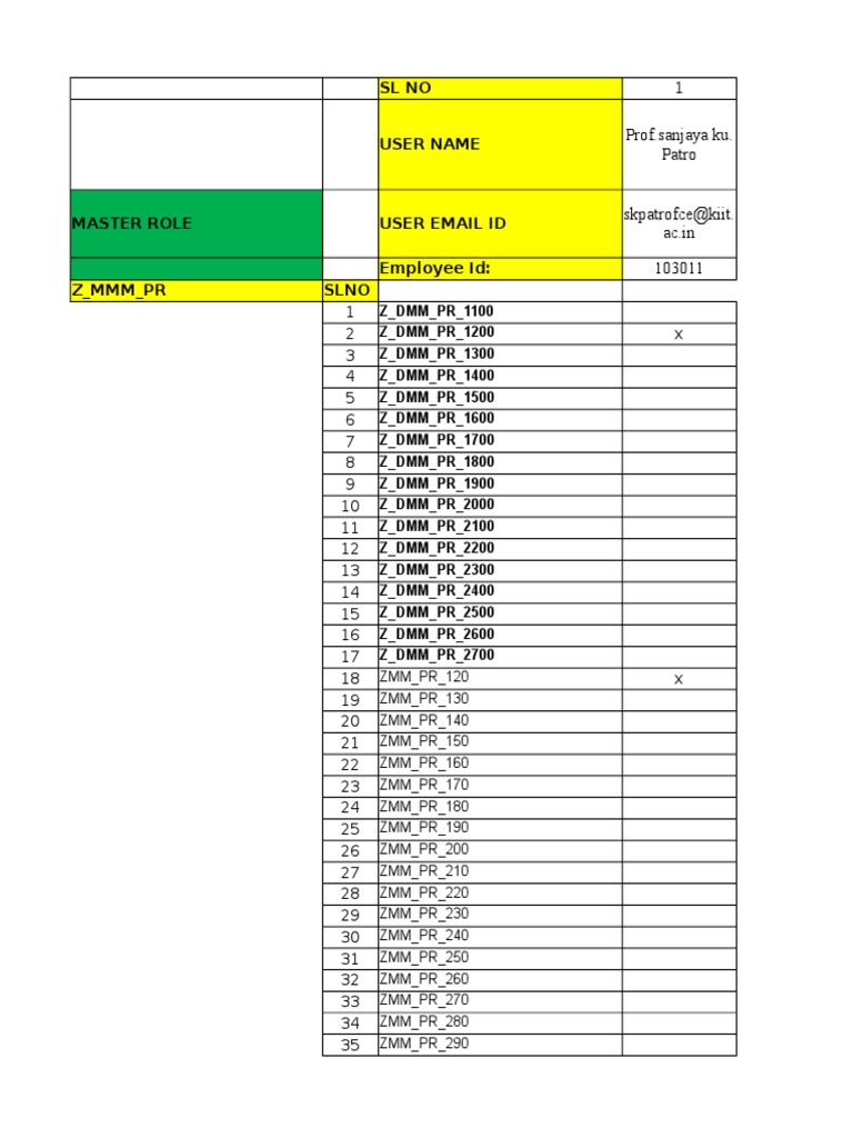 SAP Authorization Matrix Template | PDF | Technology & Engineering