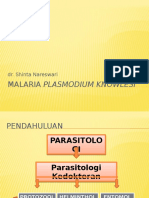 Malaria Plasmodium Knowlesi