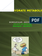 Carbohydrate Metabolism: Biomolecular - Biochemistry