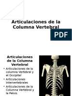 Articulaciones de La Columna Vertebral