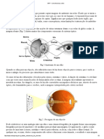 ARP - Como Funciona o Olho