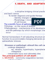 Cell Injury, Death, and Adaptation: Definitons