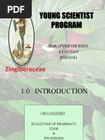 Download MGSS Young Scientist Programppt 2 by Meows Star SN29363060 doc pdf