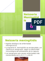 Neisseria Meningitidis