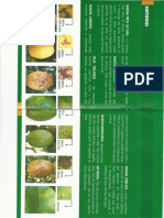 Scanner de Fotos de Doença em Laranja