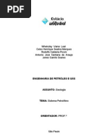 Trabalho SISTEMA PETROLÍFERO
