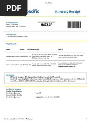 Ticket Pdf Baggage Aviation