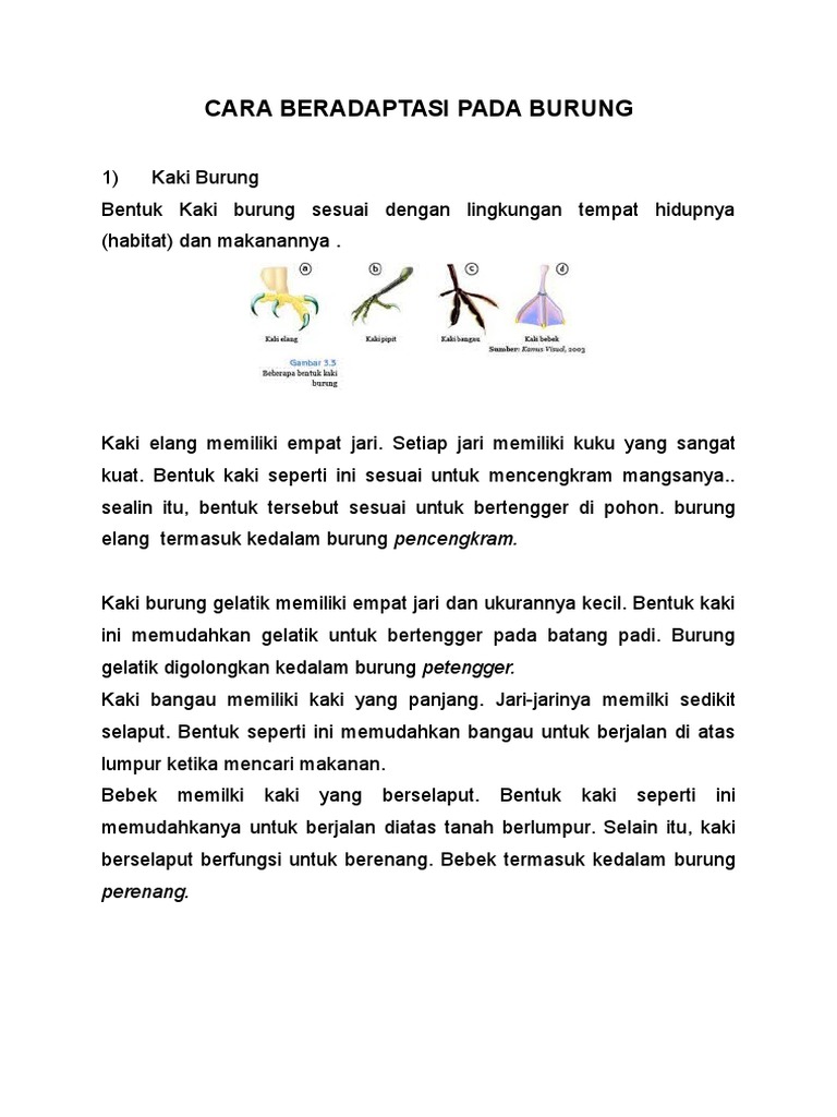 Adaptasi Burung