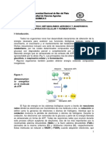 8_TP_respiracion_2014 (1).pdf