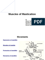 Muscles of Mastication