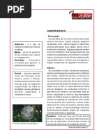 Aracnideos - Comportamento