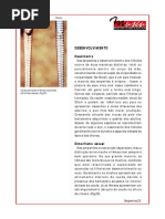 Serpentes - Ddesenvolvimento