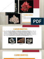 Exposición de Carbonatos 3