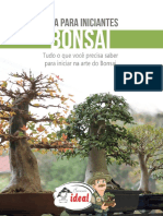 Bonsai - Iniciante