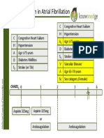 anticoagulationinatrialfibrillation-130810201825-phpapp02