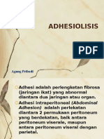  Adhesiolisis