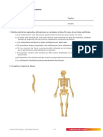 Actividades Tema04