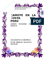 Trabajo Camote