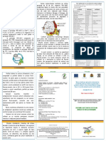 Pliant - Culturile Afectate de Seceta in Zonele de Sud Ale Romaniei