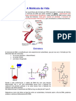 A Molécula Da Vida