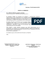 Carta de Presentación de Auditoría  normas 