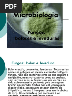 Microbiologia, Fungos, Bolores e Leveduras.ppt