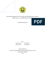 Pengaruh Ketersediaan Hara Terhadap Pertumbuhan Tanaman Kedelai (Glycine Max) Berumur Dua Minggu