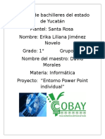 Tarea Power Point Individual Erika