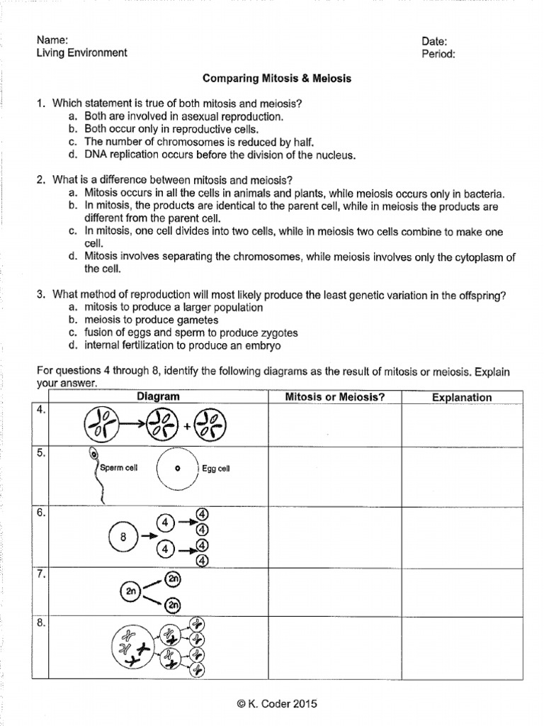 comparing-mitosis-meiosis-pdf