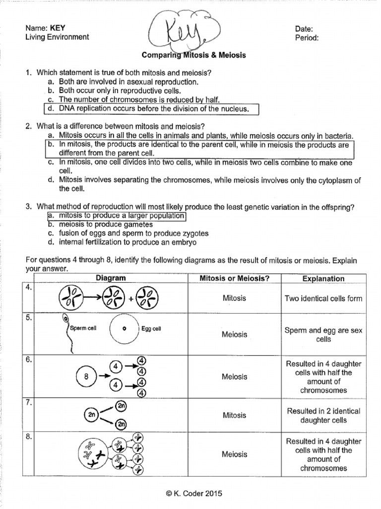 comparing-mitosis-meiosis-key-pdf