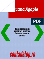 39 de Corelatii Si Verificari Pentru o Balanta Lunara Corecta