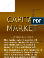 25013906 Capital Market
