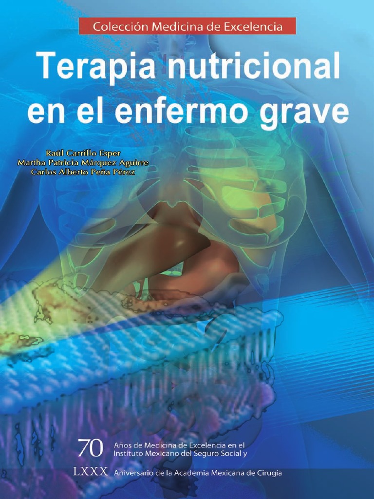 Terapia Nutricional En El Enfermo Grave - 