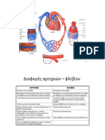 ΔΙΑΦΟΡΕΣ Αρτηριων-φλεβων Εικονα (Slide Σηφακης)