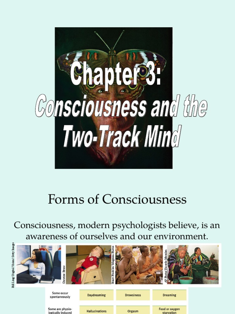 9 - Chapter 3 - Consciousness and The Two-Track Mind | PDF