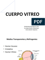 Cuerpo vitreo: anatomía, fisiología y principales enfermedades