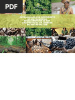 Salvaguardas Socioambientais no Acre (Brasil)