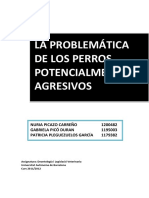 Problem de Los PPP