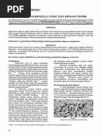 Download j Bakteri Salmonella Typhi Dandemamtifoid by Billy Sangpengendaramerah SN293896271 doc pdf