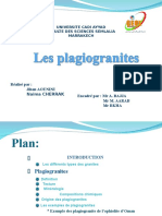 Les Plagiogranites