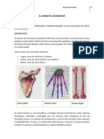 6-Aparato Locomotor. Patologías. Tratamientos MOD