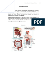 12-Sistema Digestivo. Patologías y Tratam.