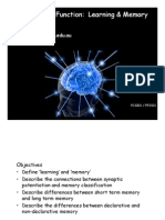 Highger Brain Function - Learning and Memory