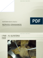 NERVOS - BUCO.pdf